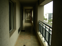 DSCN8440