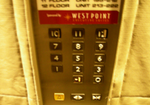 DSCN8445